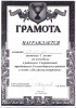 Районная Спартакиада трудящихся Сосновоборского района в честь "Дня физкультурника"