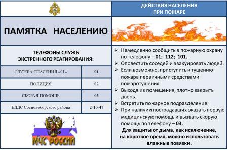 2.jpg 2.jpg